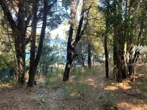 Circuito Chico Ruta 77 3500