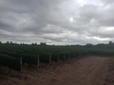 Olavarria al 2000