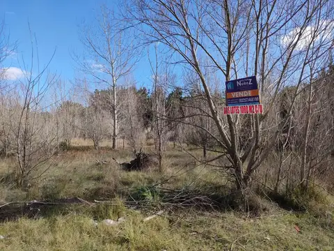 Terreno - Venta - Argentina, San Bernardo
