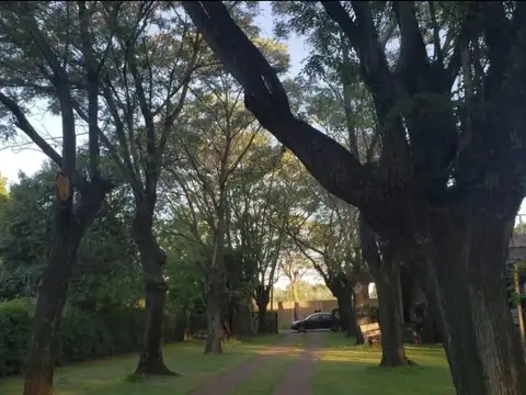 Local en Venta 38 años