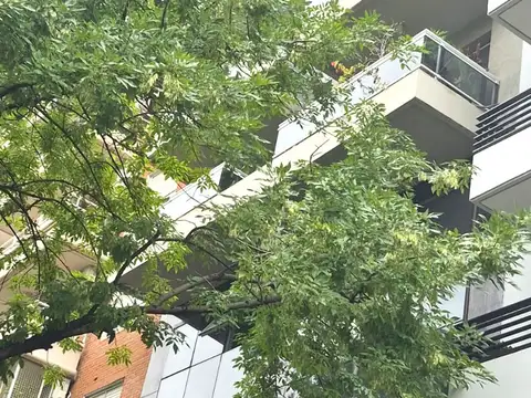 Av Garcia del Rio 2500, Piso 14