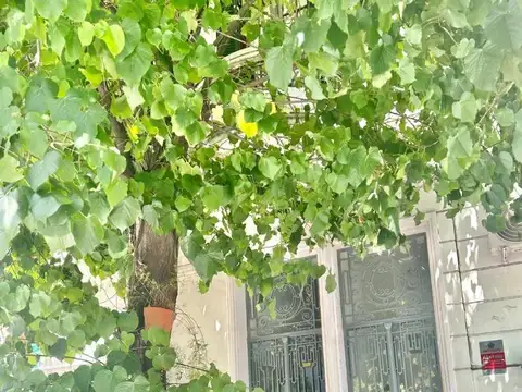 Depto Tipo Casa en Venta en Almagro, USD 125.000