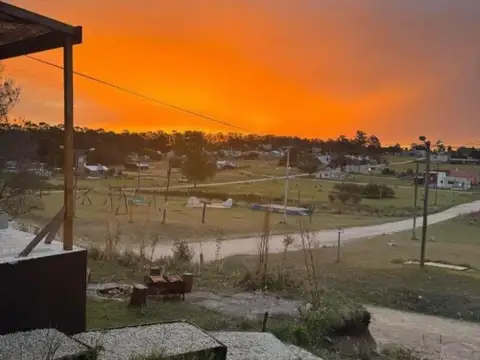 Estrella de mar 1000