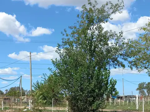 Agustín Ferrari 100