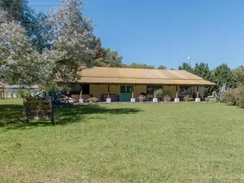 Esp Circulatorio Fracción 9