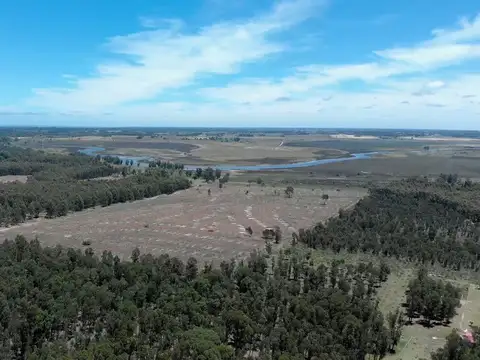 Venta de campo 76Has con costa