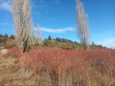 Terreno en Venta en Cholila, USD 65.000