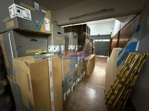 Timoteo Gordillo 500