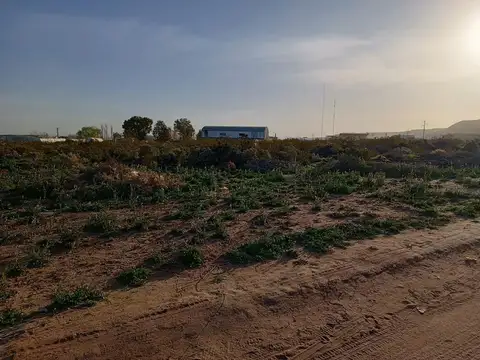 EN VENTA 2 HECTÁREAS  PARQUE INDUSTRIAL PLOTTIER.