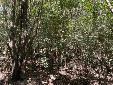 Terreno en Venta en Salsipuedes, USD 60.000