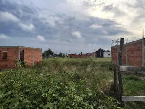 Terreno - Venta - Argentina, Mar de Ajó - PALACIOS  1126