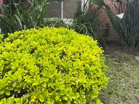 Casa en Alquiler 25 años