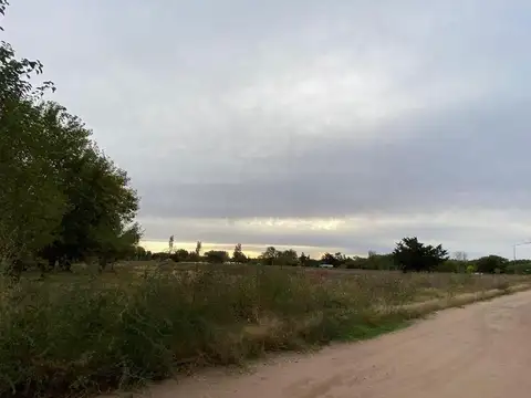 Lote . | Vicente Solana Lima