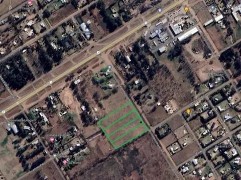 Lote . | Vicente Solana Lima