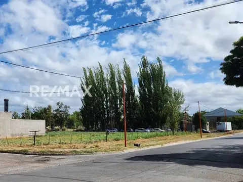 Los Pinos 1200