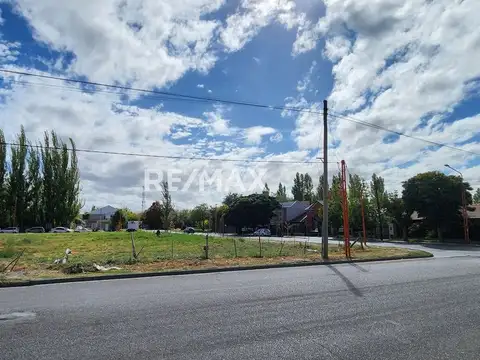 Los Pinos 1200
