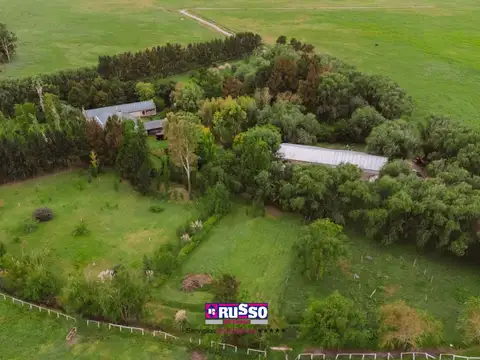 Venta de Campo, General Paz, Loma Verde