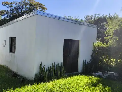 Feldman 600