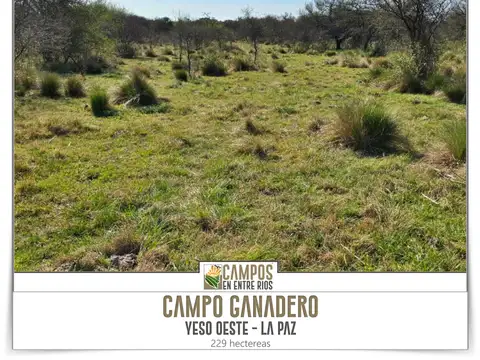 Campo en Venta con Alambrado