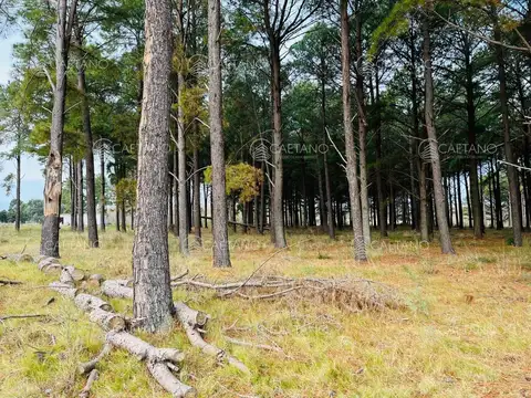 Terreno en Venta de 2033,0 m2