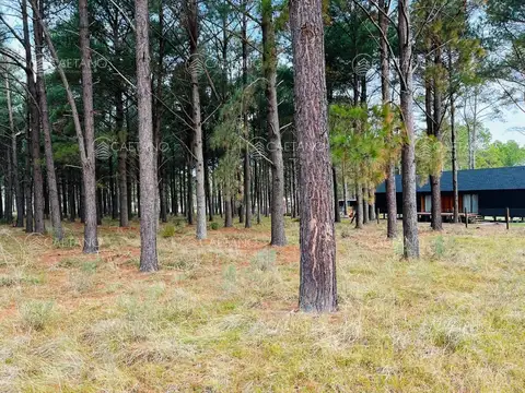 Terreno en Venta 45  mts Fondo