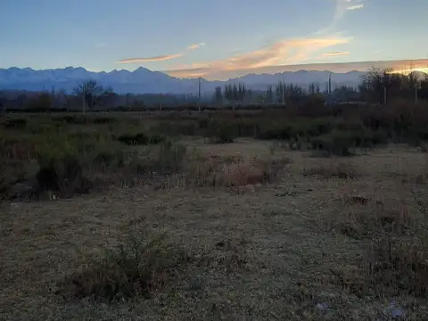 LOTEO EXCLUSIVO EN COLONIA LAS ROSAS – TUNUYÁN