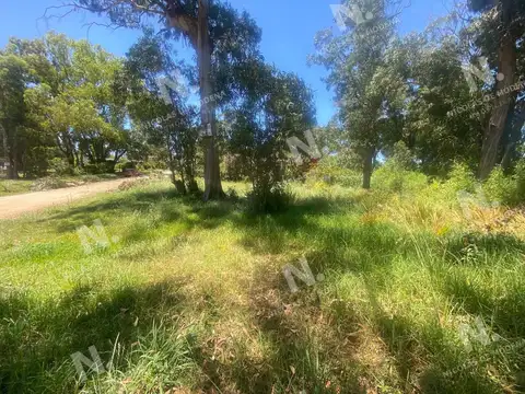 Terreno en Venta 17  mts Frente