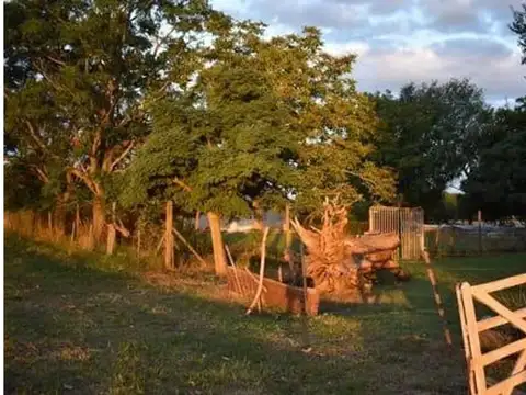 Campo en Venta Agrícola