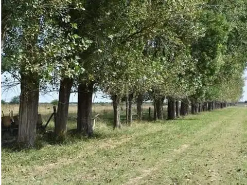 Campo en Venta de 64  ha