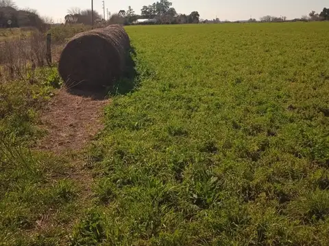 Oportunidad!! Campo en venta en Mercedes
