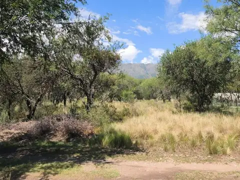 Terreno en Venta de 1000,0 m2
