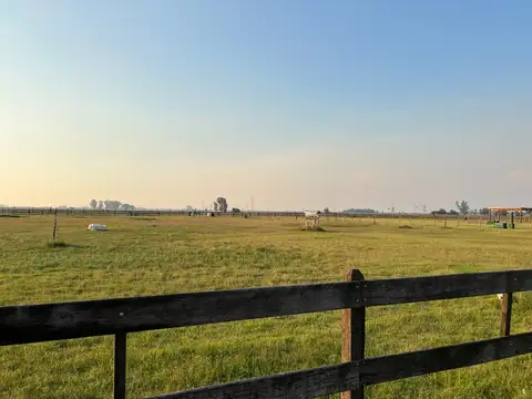 Terreno en Venta de 5000,0 m2