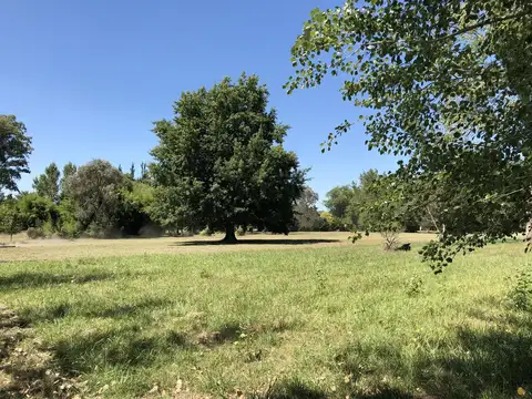 Campo en venta en  La Plata