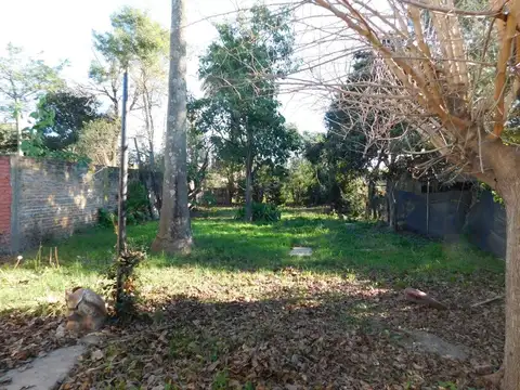 Avenida Independencia 600