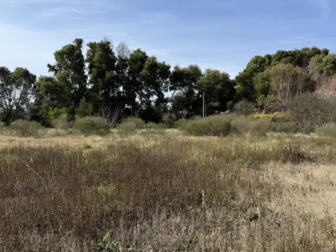 Terreno en Venta 107  mts Fondo