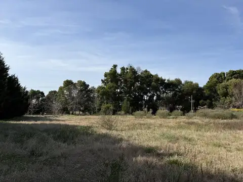 Barrio La Francisca, Lobos