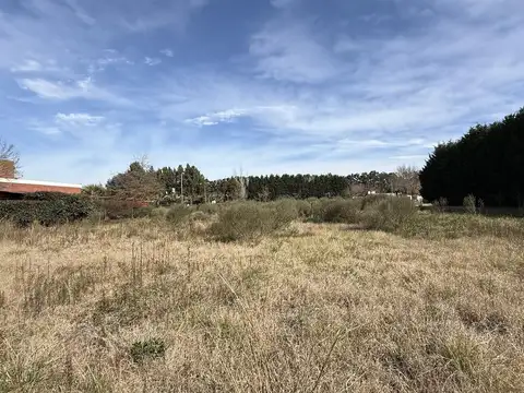 Buscas un terreno grande en un lugar tranquilo y con mucho verde? La Francisca|Lobos