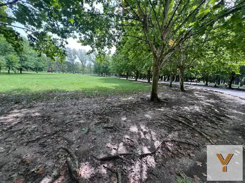 Haras del Sur I