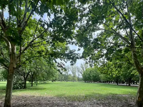 Terreno en Venta de 1663,0 m2