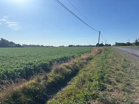 10 has sobre ruta asfaltada, acceso a luz y gas.