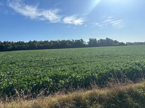 10 has sobre ruta asfaltada, acceso a luz y gas.