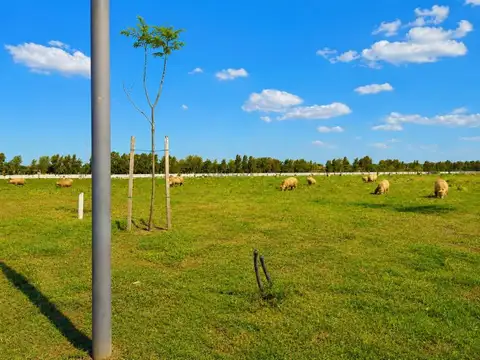 LOTE A LAGUNA EN VENTA | BARRIO SILVESTRE – NORDELTA