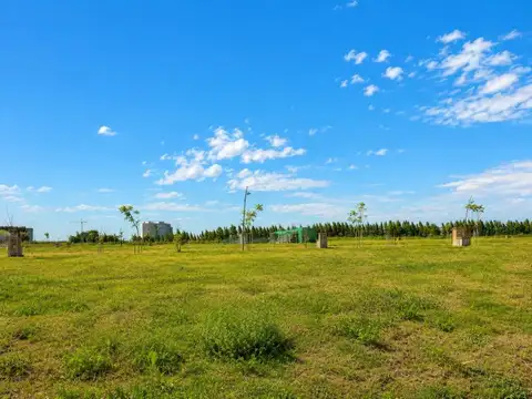 Terreno en Venta de 517,0 m2