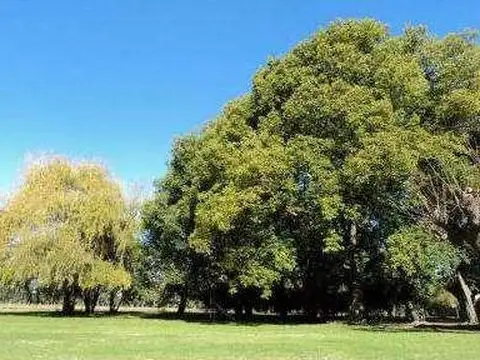 Terreno en Venta en Lima, USD 1.800.000