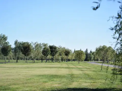 CAMPOS DE ROCA II