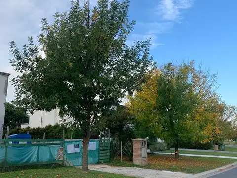 Terreno en Venta de 981,0 m2