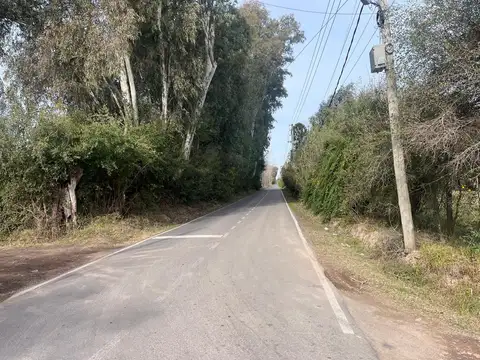 Campo en Villa Rosa