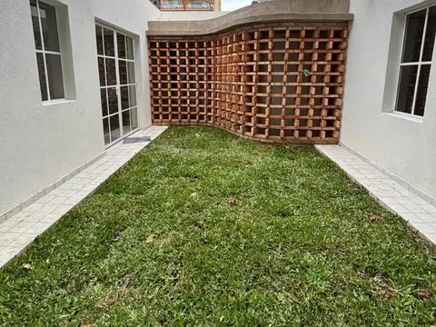 Olive 1000