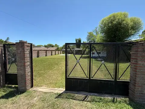 Fresnos al 1500