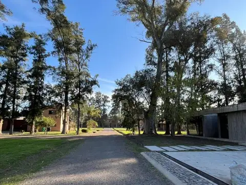 VENTA TERRENO LA ARBOLADA INTERNO- Excelente ubicación